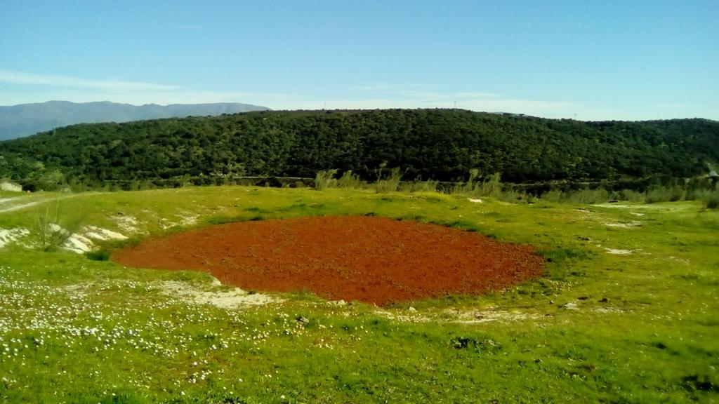 Apartamento O Casa Rural Roquemar Guijo de Granadilla Kültér fotó